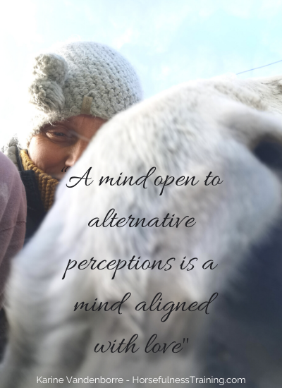  an-open-mind-horsefulness-connection-circle