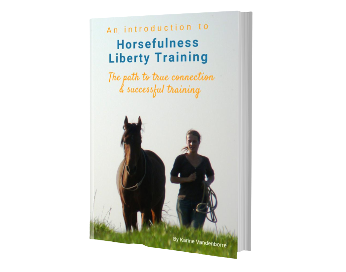 Free e-book liberty training